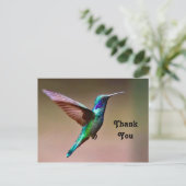 Natuurfoto Groene Kolibrie Bedankt Briefkaart (Staand voorkant)