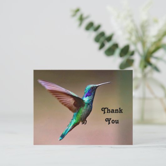 Natuurfoto Groene Kolibrie Bedankt Briefkaart (Staand voorkant)