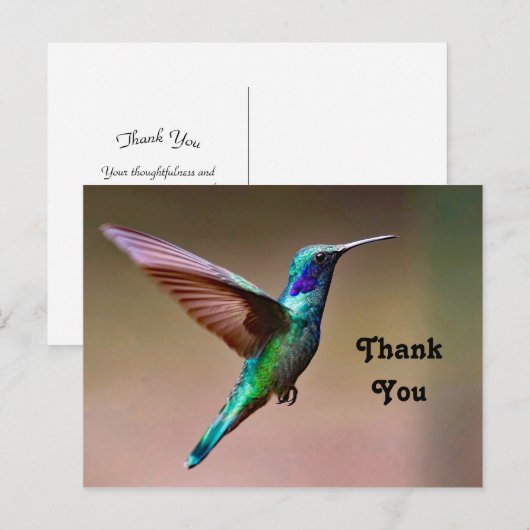 Natuurfoto Groene Kolibrie Bedankt Briefkaart (Voorkant / Achterkant)