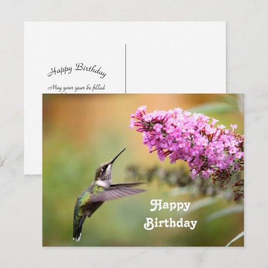 Natuurfoto Kolibrie Bloem Verjaardag Briefkaart (Voorkant / Achterkant)