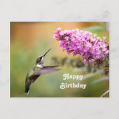 Natuurfoto Kolibrie Bloem Verjaardag Briefkaart (Voorkant)