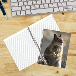 Natuurfoto van bedelende grondeekhoorn notitieboek