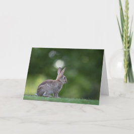 Natuurfoto van een konijntje kaart