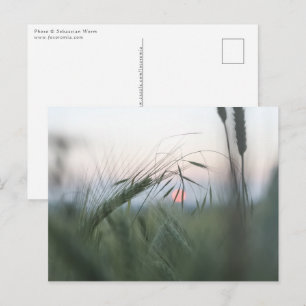 Natuurfoto van een korenveld briefkaart