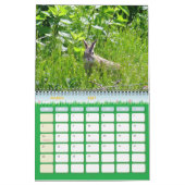 Natuurfotografie Agenda Kalender (Mar 2027)