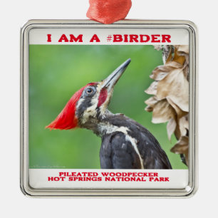 Natuurfotografie Amerikaanse zwarte specht Vogelaa Metalen Ornament