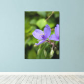 Natuurfotografie Canvasprint Canvas Afdruk (Insitu (Houten vloer))