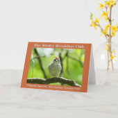 Natuurfotografie Chipping Sparrow Vogelaar Kaart (Gele Bloem)