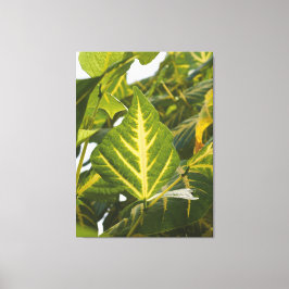Natuurfotografie Groene Blad Textuur Gouden Aders Canvas Afdruk