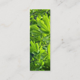 Natuurfotografie Groene Bladeren Boeklegger Nieuw  Mini Visitekaartje