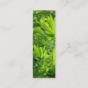 Natuurfotografie Groene Bladeren Boeklegger Nieuw  Mini Visitekaartje