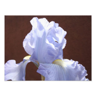 Natuurfotografie kunstprints Blauwe Iris Bloemen Foto Afdruk