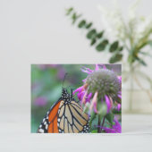 Natuurfotografie van monarchvlinder briefkaart (Staand voorkant)