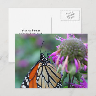 Natuurfotografie van monarchvlinder briefkaart