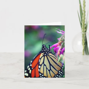 Natuurfotografie van monarchvlinders notitiekaartje