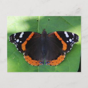 Natuurfotografie voor tuin- en insectenliefhebbers briefkaart