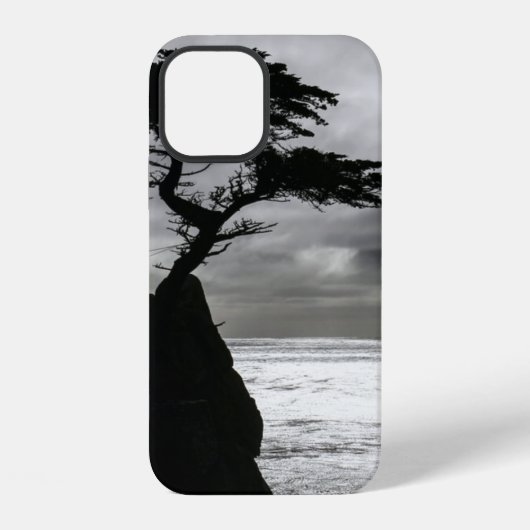 Natuurfotografie Zwart en Wit iPhone Hoesje (Achterkant)