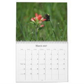 Natuurfotografiekalender Kalender (Mar 2027)