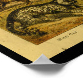 natuurhistorie van Wilde Kat uit Serval Afdrukken Poster (Hoek)