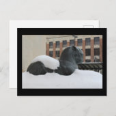 Natuurhistorisch Museum, Ann Arbor, MI Briefkaart (Voorkant / Achterkant)