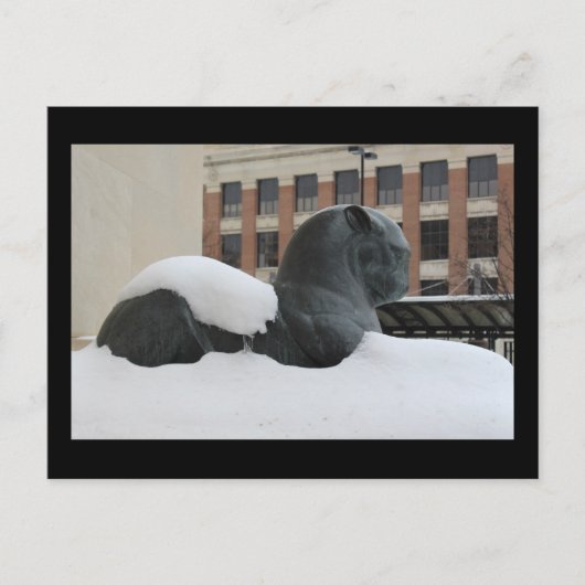 Natuurhistorisch Museum, Ann Arbor, MI Briefkaart (Voorkant)