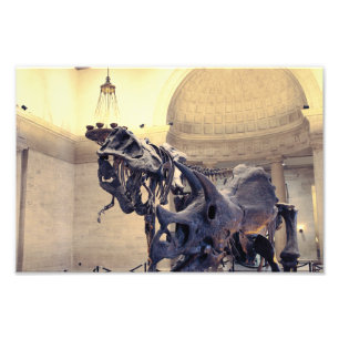 Natuurhistorisch museum van Los Angeles Foto Afdruk