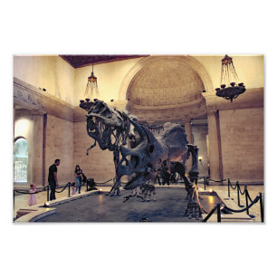 Natuurhistorisch museum van Los Angeles Foto Afdruk
