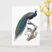 Natuurhistorisch Wenskaart Peacock Pair Kaart (Gele Bloem)