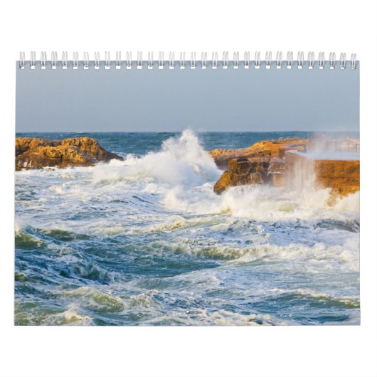 Natuurkalender Kalender (Hoes)