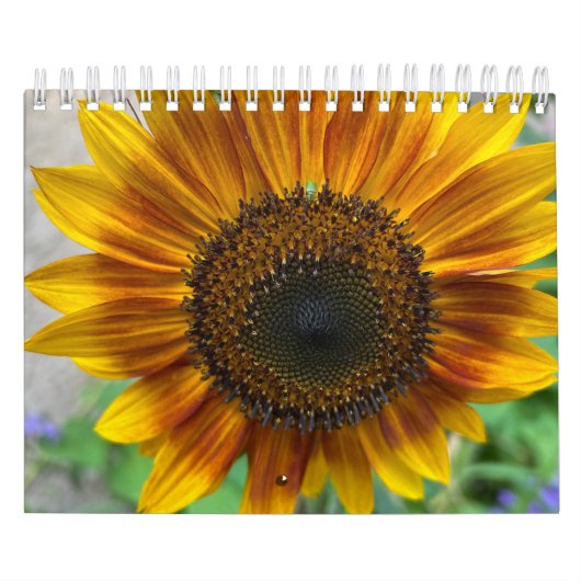 Natuurkalender Kalender (Hoes)