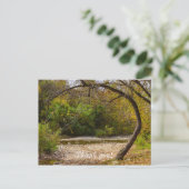 Natuurkring Briefkaart (Staand voorkant)