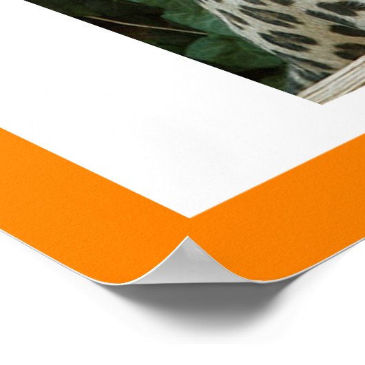 natuurkunde poster (Hoek)