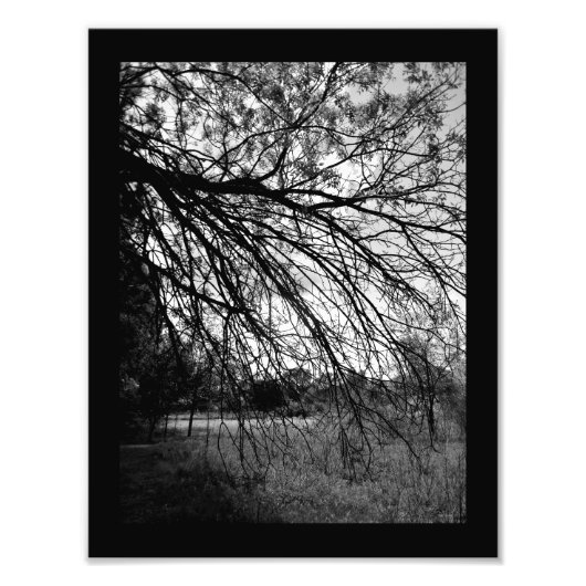 Natuurkunst Foto Afdruk (Voorkant)
