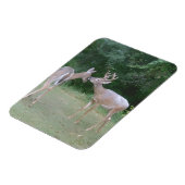 Natuurliefhebber Magneet (Linkerzijde)