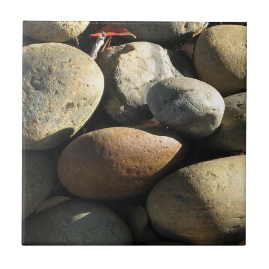 Natuurlijk Cool Surfaces_Rocks&Shade-cluster Tegeltje (Voorkant)