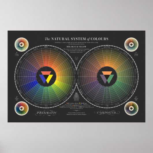 Natuurlijk Kleurenstelsel - Donker Poster (Voorkant)
