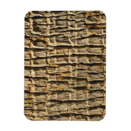 Natuurlijk koude oppervlakken_palmboomschors magneet