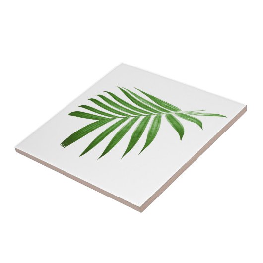 Natuurlijk modern palm Leaf Tegeltje (Zijkant)