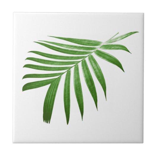 Natuurlijk Modern Palmblad Tegeltje (Voorkant)