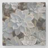 Natuurlijk mooie botanische successen stenen onderzetter (Voorkant)