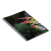 Natuurlijk Notitieboek (Rechterzijde)