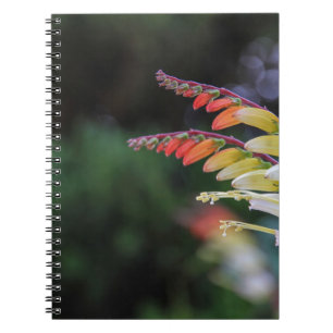 Natuurlijk Notitieboek