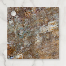 Natuurlijk Ruw Rotsen Strand Zee Schelp Zomer