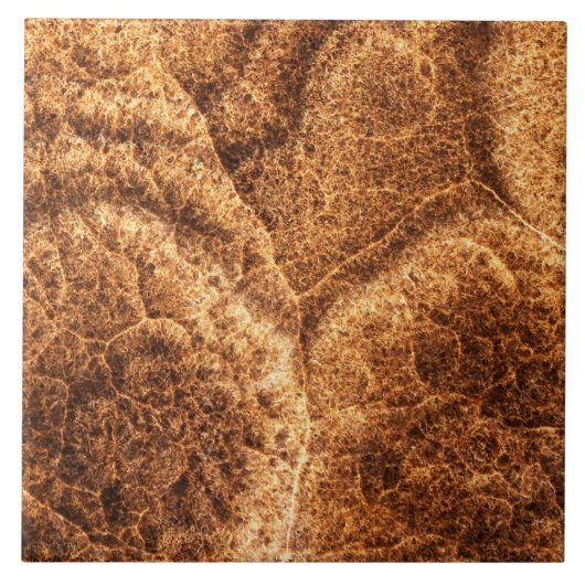 Natuurlijk steenpatroon tegeltje (Voorkant)