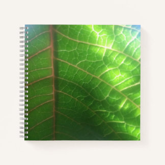 Natuurlijk verlicht Poinsettia-blad Notitieboek