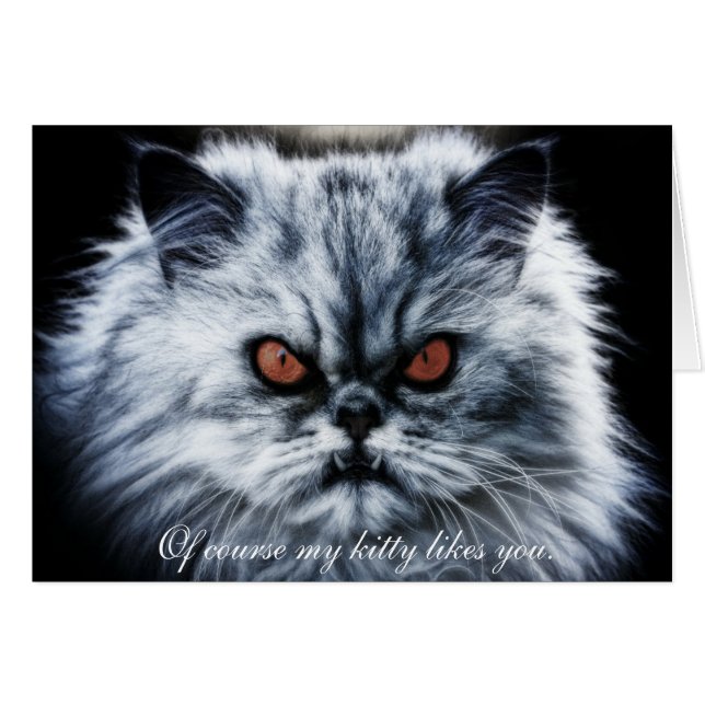 "Natuurlijk vindt mijn kat je leuk..." (Voorkant Horizontaal)