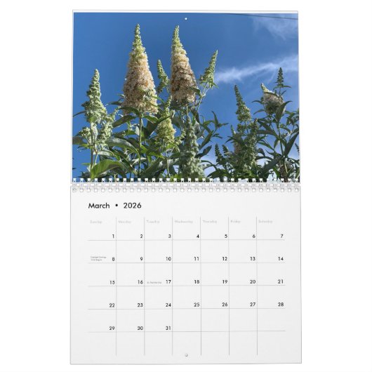 Natuurlijk wonder Two Page MediumCalendar, White 2 Kalender (Mar 2026)