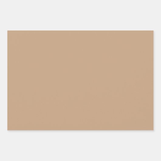 Natuurlijke aardse kerst Boho Inpakpapier Vel (Voorkant 2)