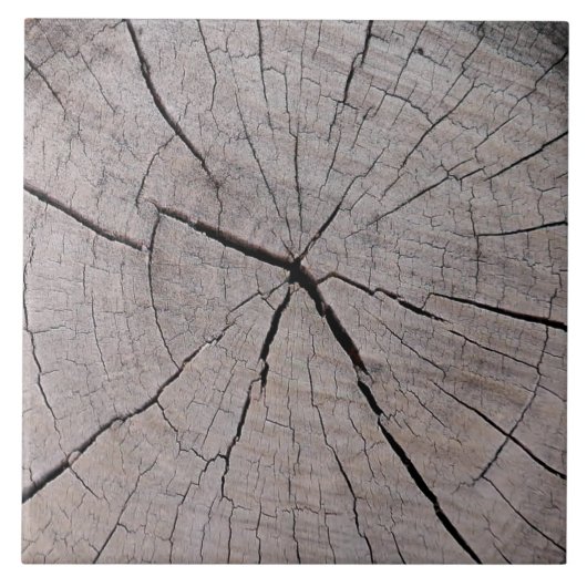 natuurlijke achtergrond boomstam natuurlijke tegeltje (Voorkant)