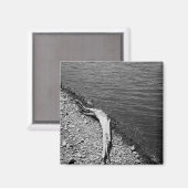 Natuurlijke balans - Driftwood Stilleven Magneet (Voorkant / Achterkant)